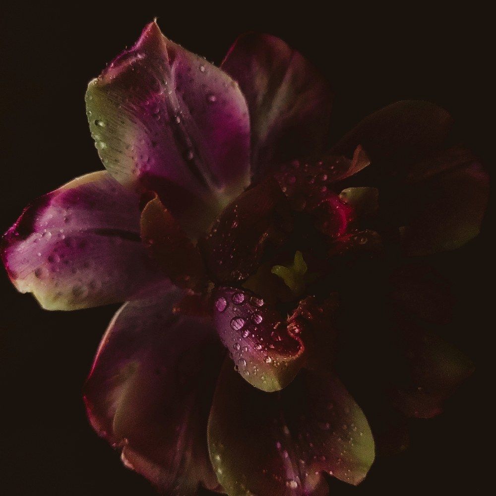 Photograph by Ольга Денисова