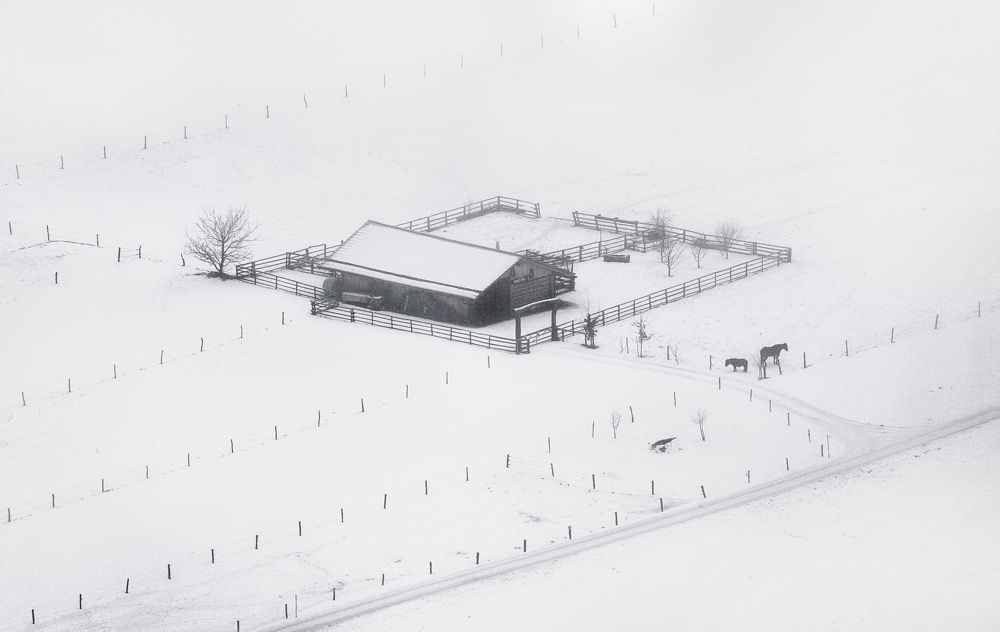 Photograph by Aleš Krivec