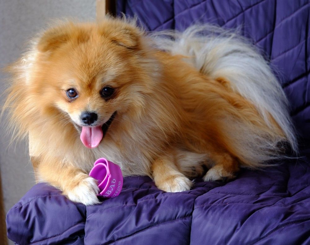 Photograph by Сергей Парантаев