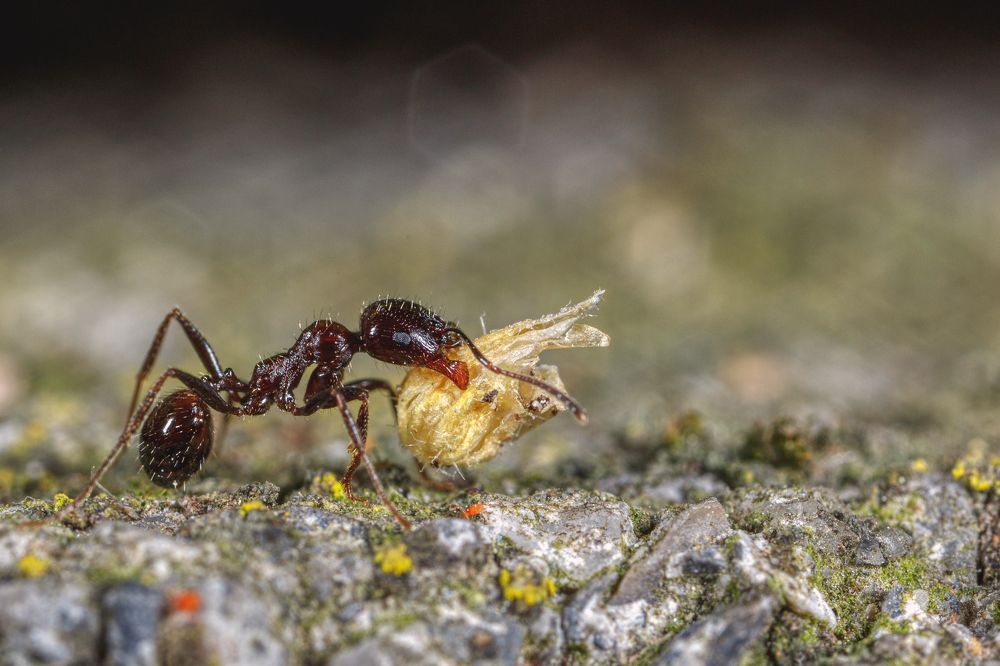 Фотография автора Vasileios Karapanagiotidis