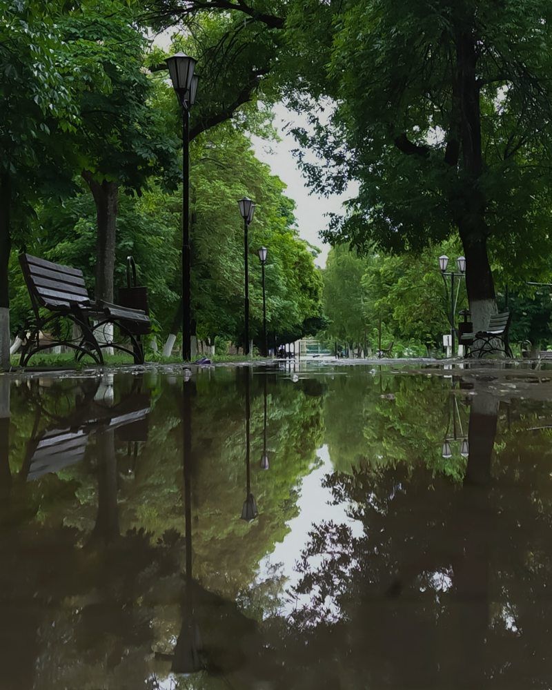 Фотография автора Наталья Алексеева