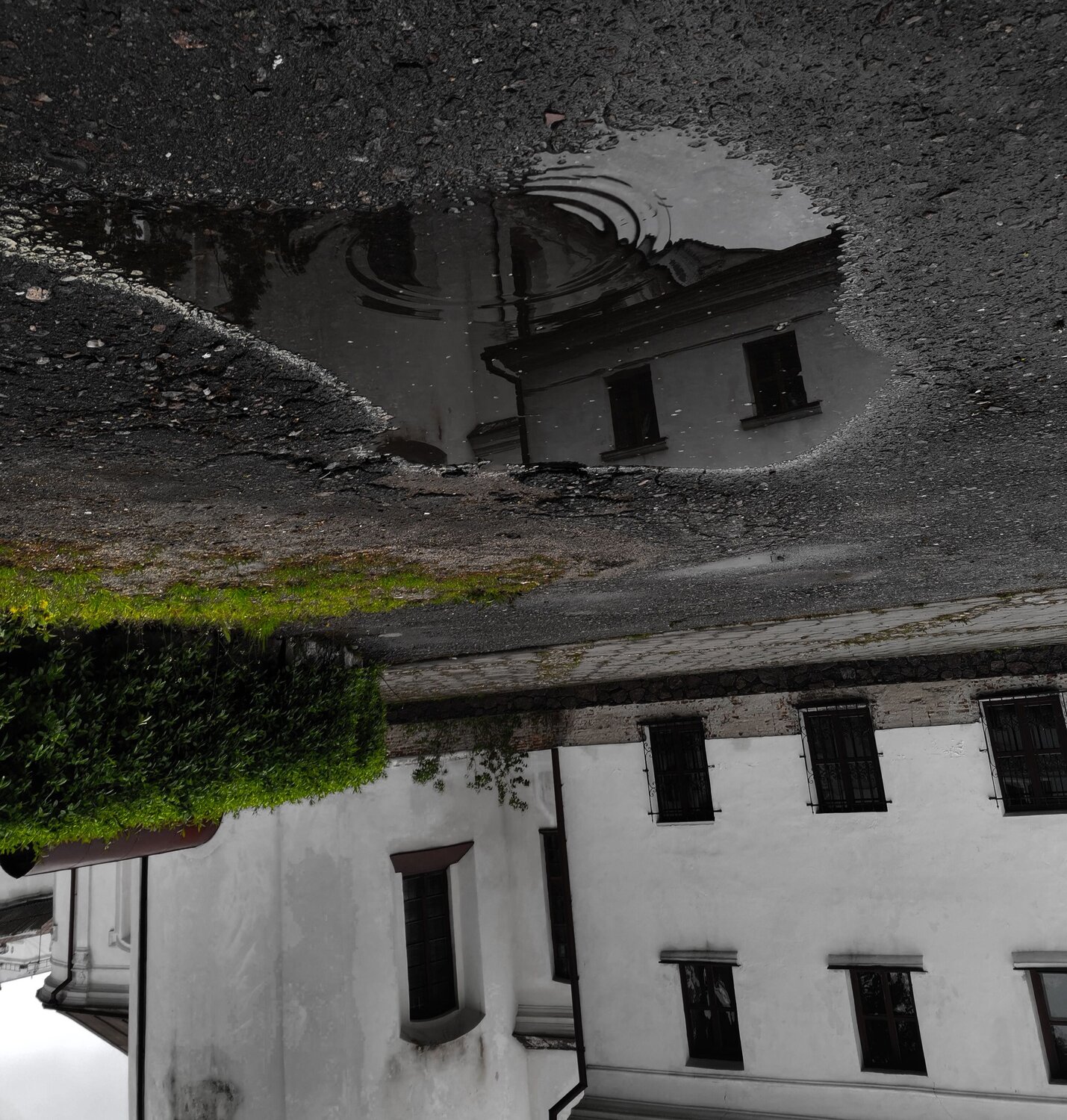 Photo #7588211
