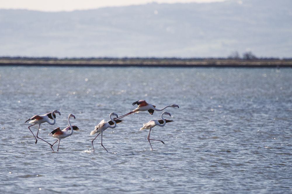 Фотография автора Vasileios Karapanagiotidis