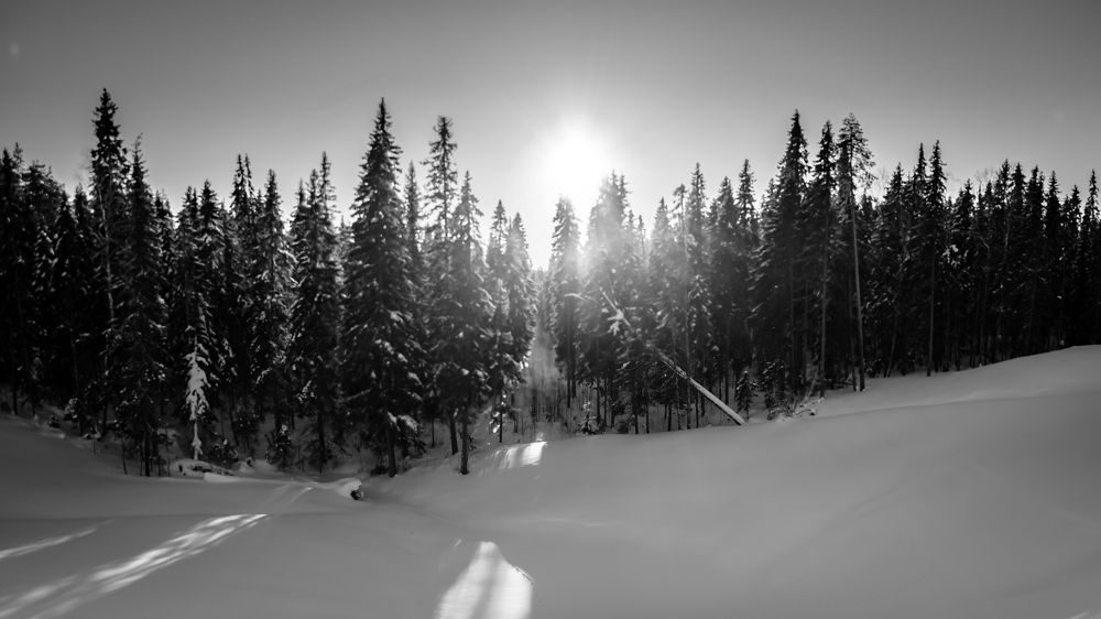 Photograph by Алексей Ильин