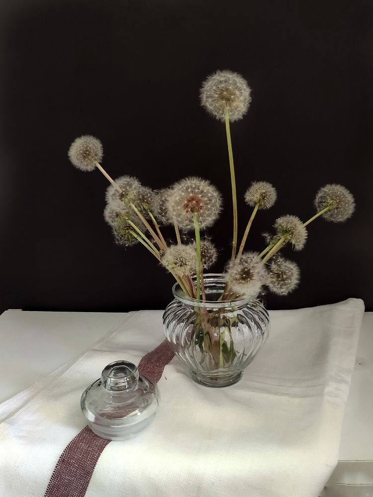 Photograph by Светлана Смирнова