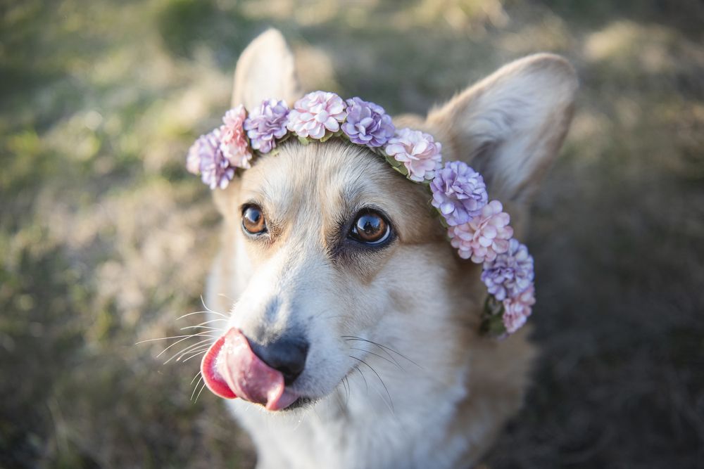 Photograph by Маргарита Богуславская