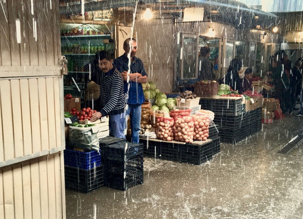 Photograph by Елена Ким