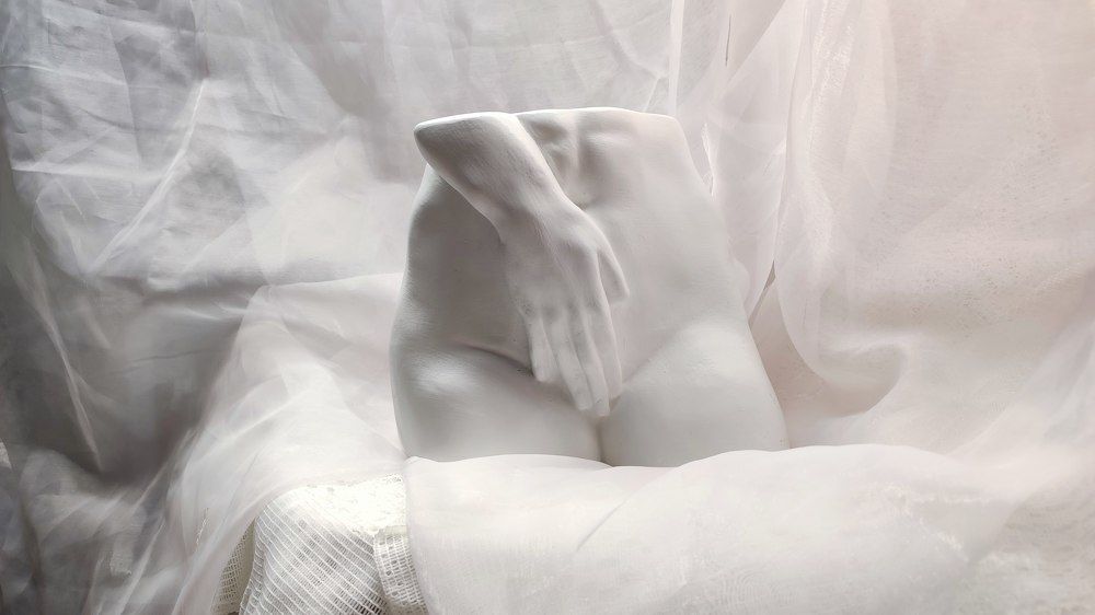 Photo #7588410