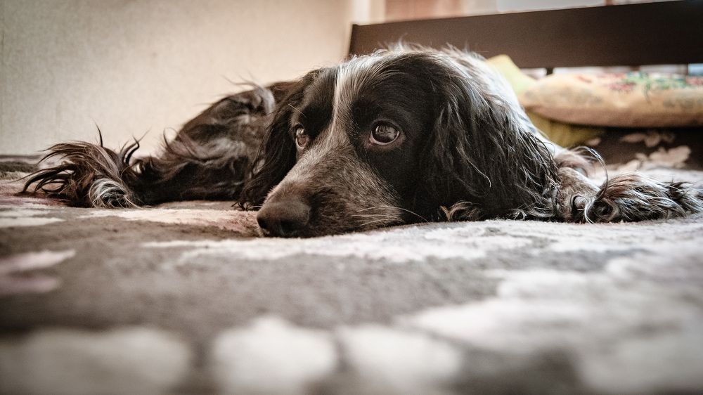 Photograph by Алексей Ильин