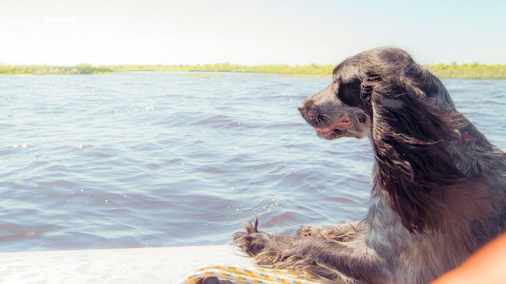 Photograph by Алексей Ильин