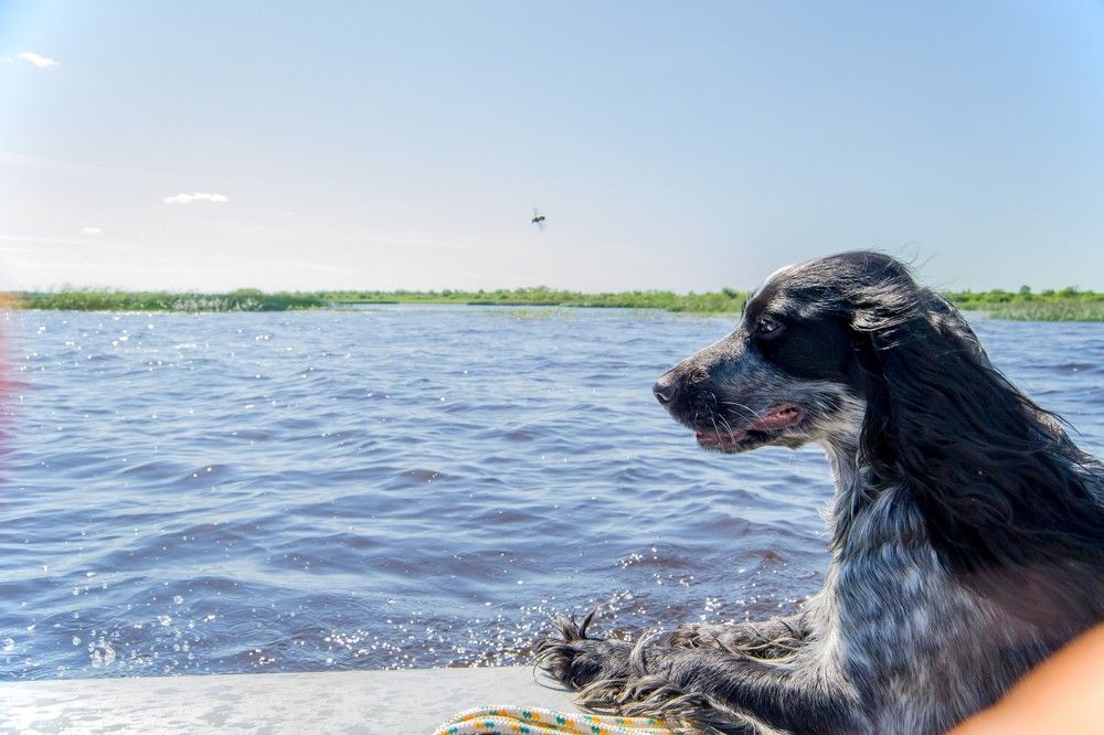 Photograph by Алексей Ильин