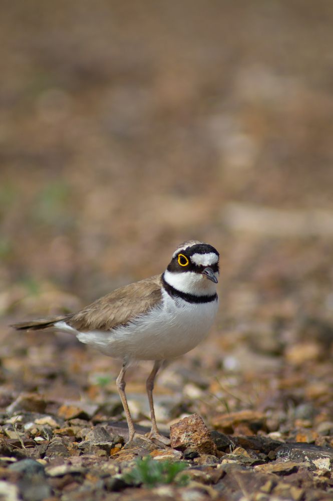 Photograph by Анастасия Пельменёва