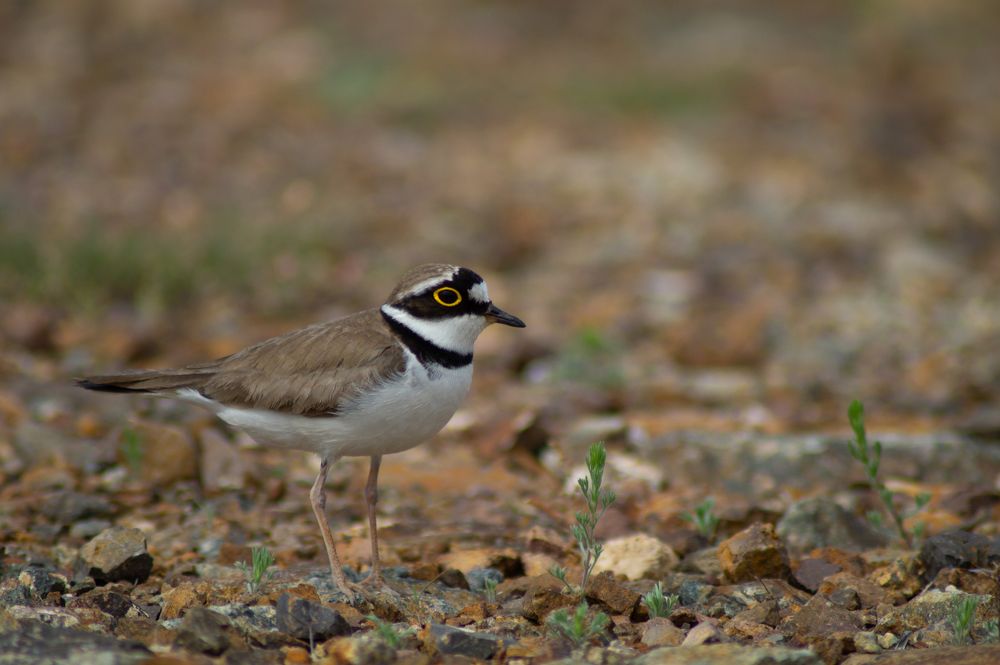Photograph by Анастасия Пельменёва