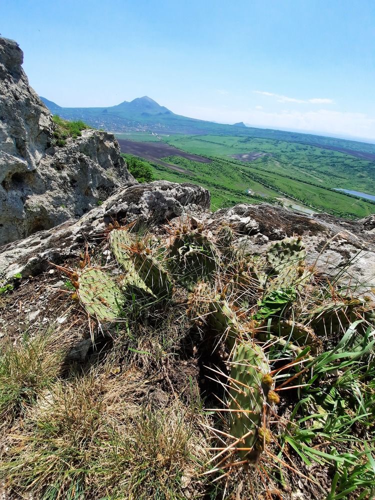 Photograph by Елена