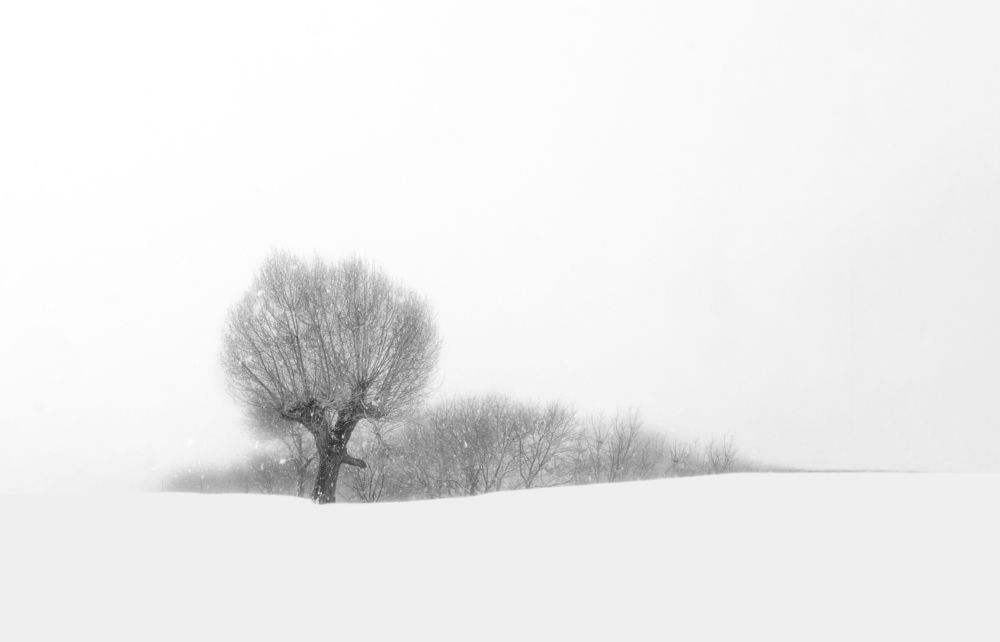 Photograph by Mahmoodreza Noraei