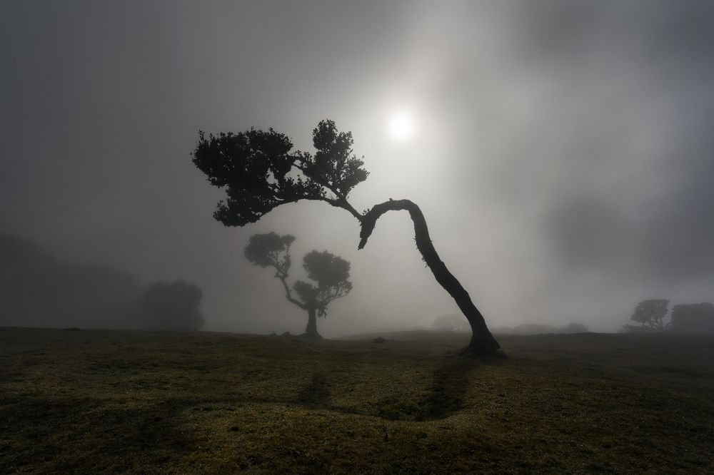 Photograph by Jens Ober