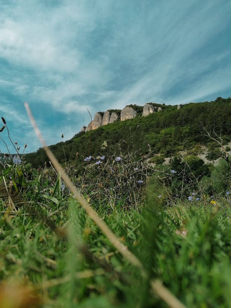 Photograph by Анастасия Пельменёва