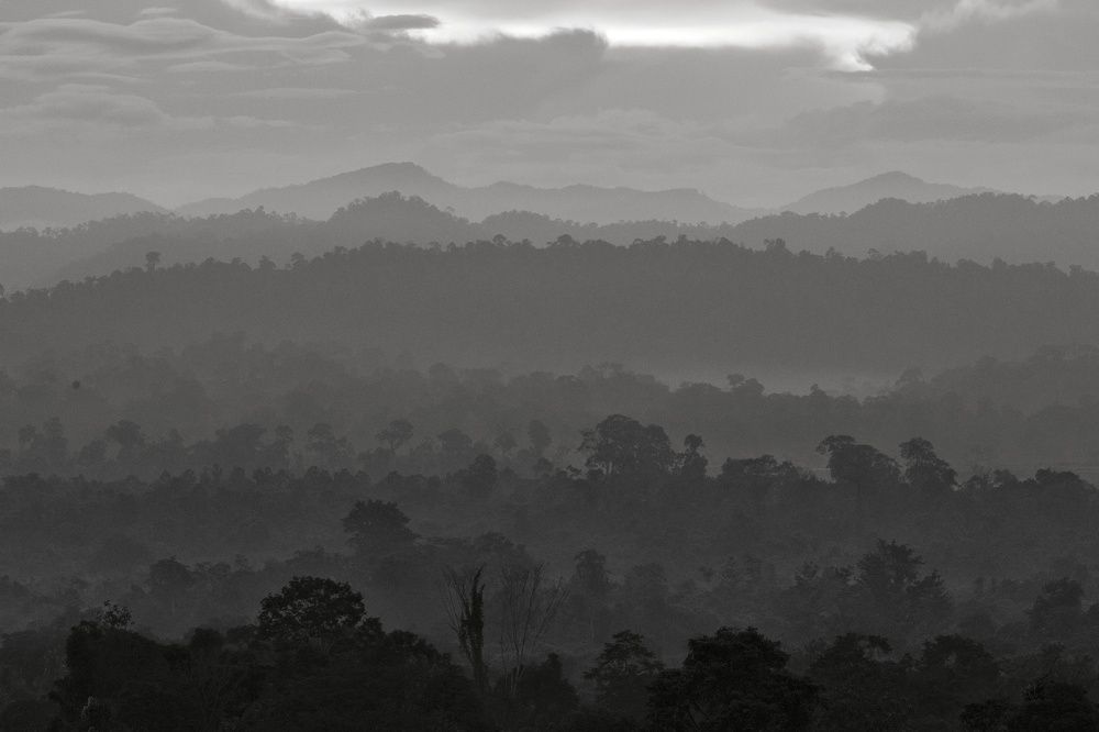 Photograph by gista d sakti