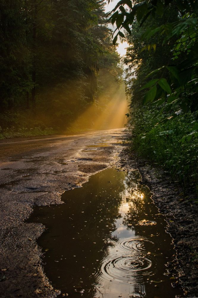 Photograph by София Носкова