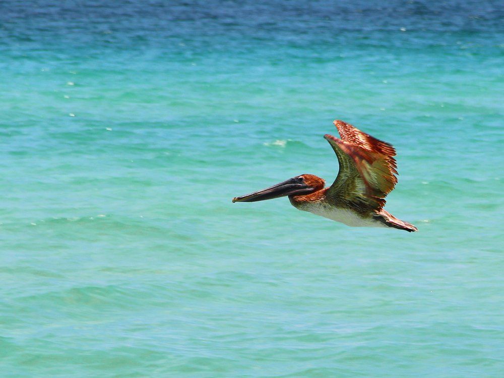 Photograph by Anna Perevozchikova