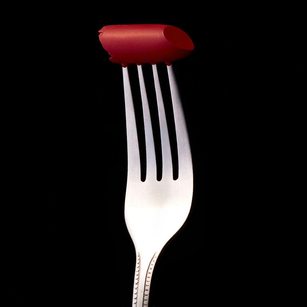 Photograph by Shahab eskandarpour