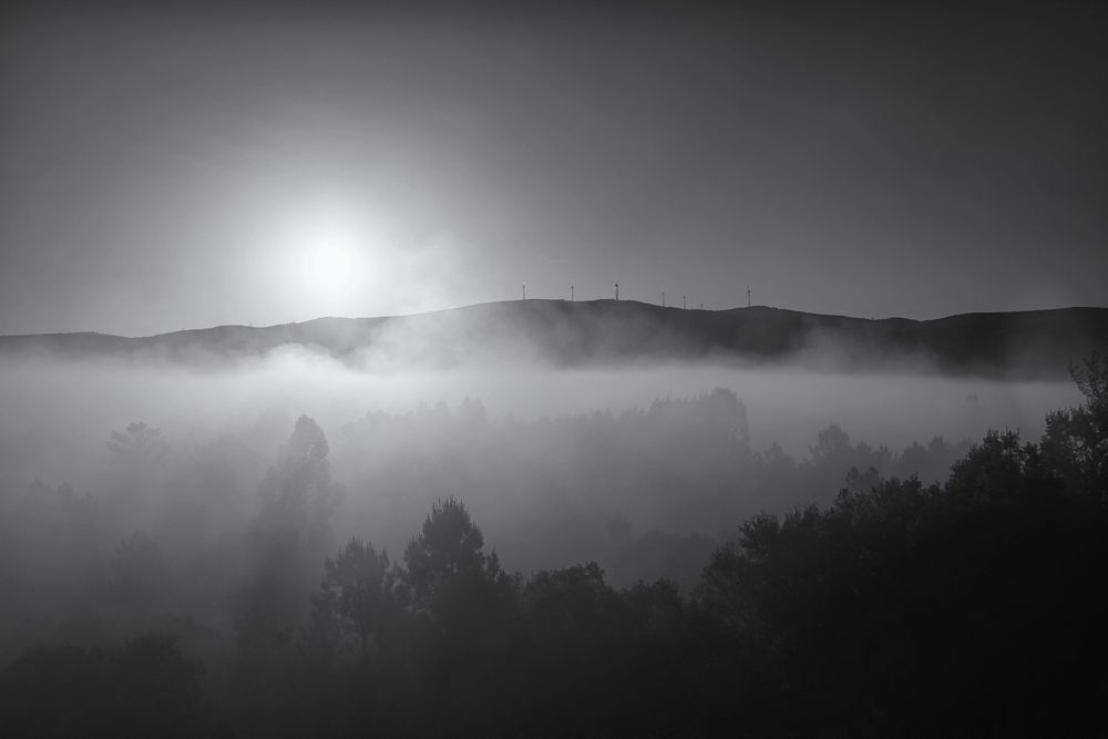 Photograph by Mário C.