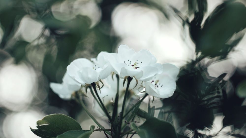 Photograph by Алёна Бондаренко