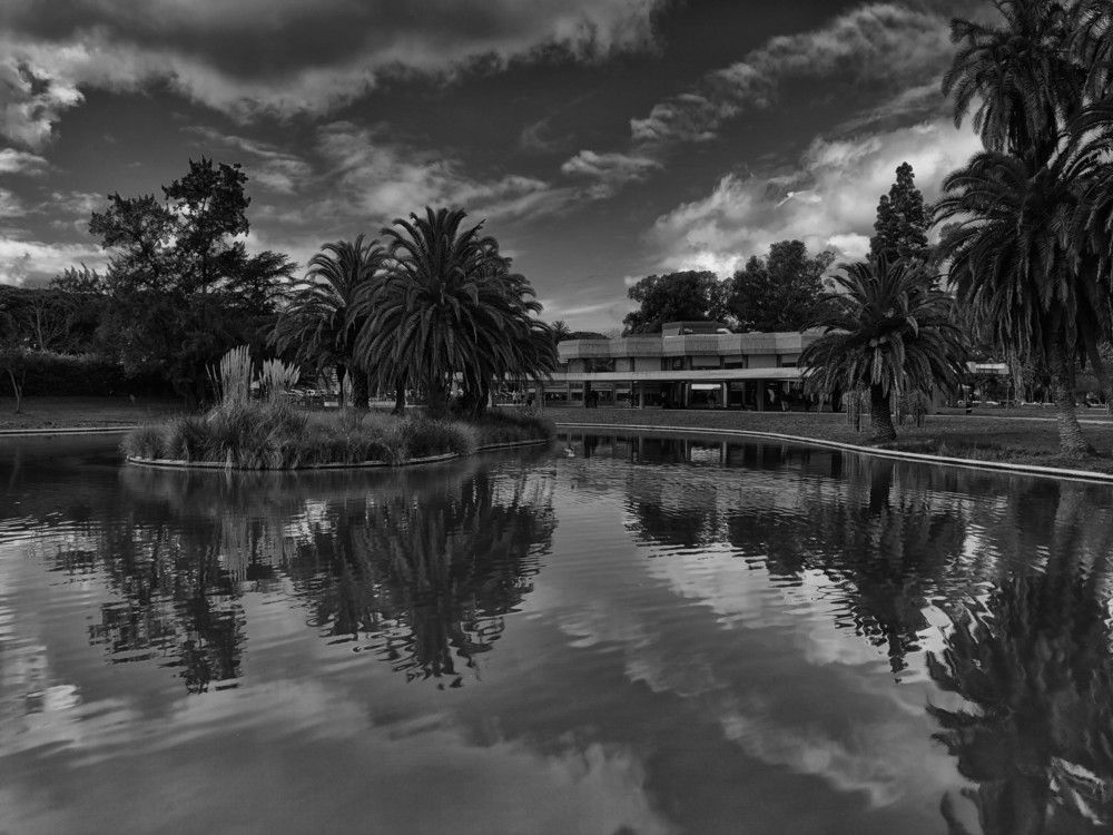 Photograph by Mário C.