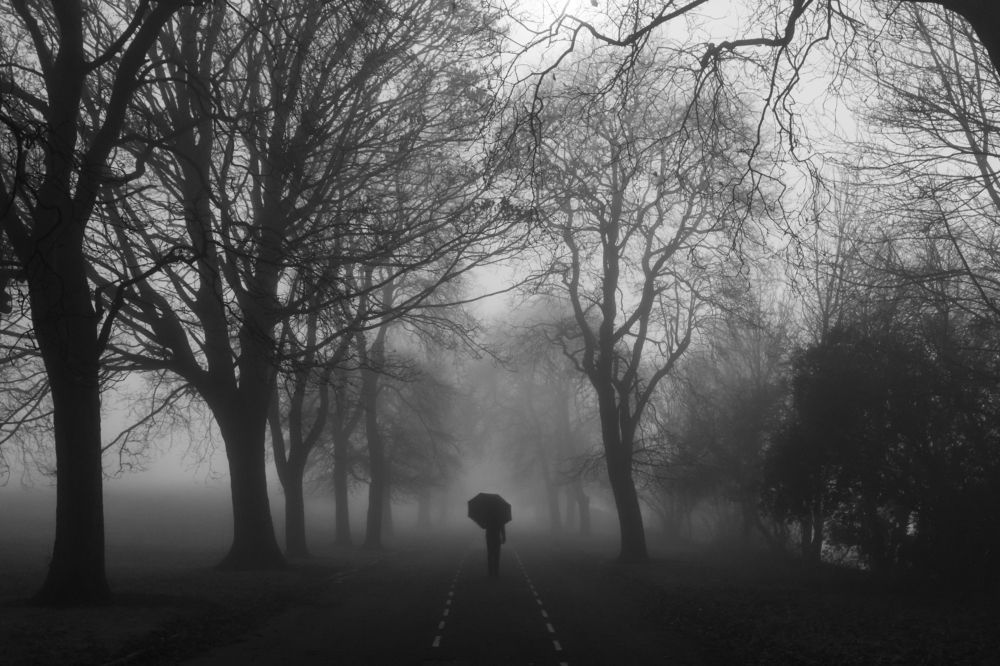 Photograph by Monolit