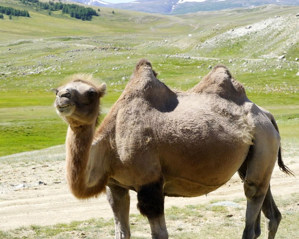 Фотография автора Татьяна Добровольская