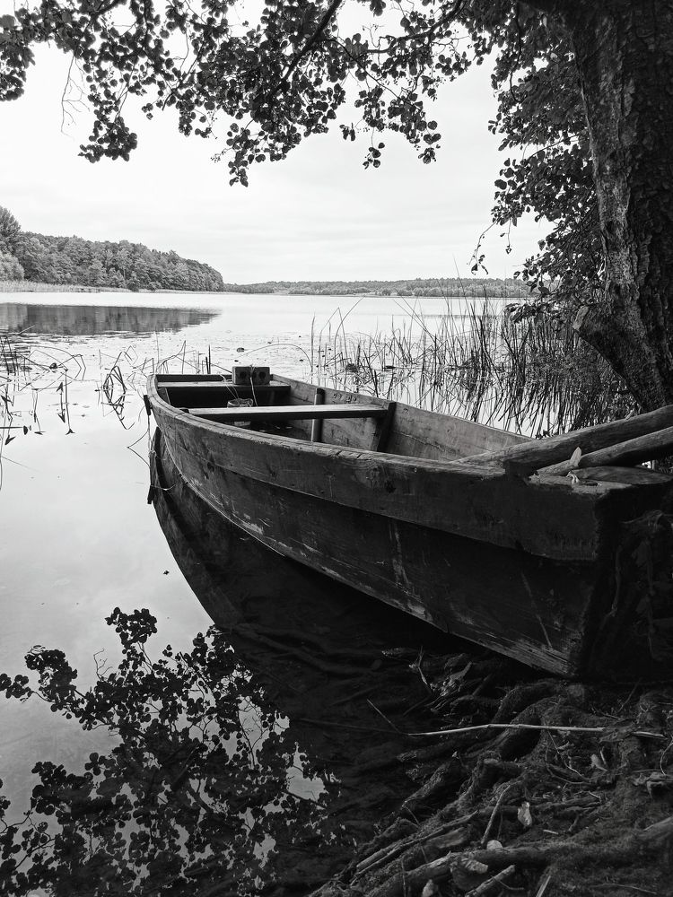 Photograph by Halina Mitsevich