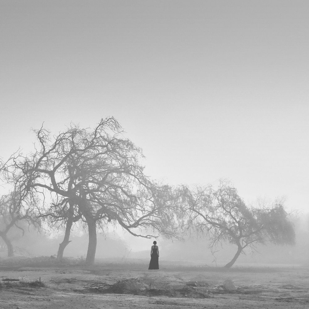 Фотография автора Sara Bahari