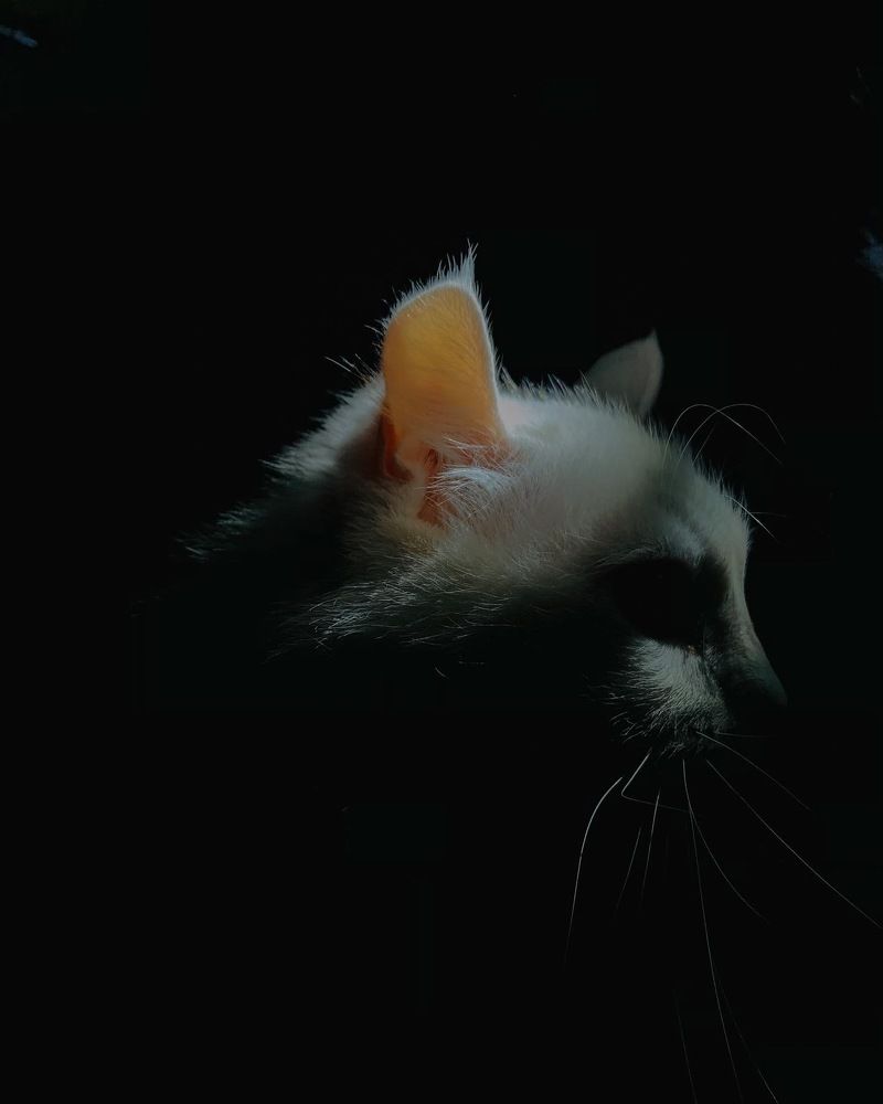 Photograph by Людмила Евстратова