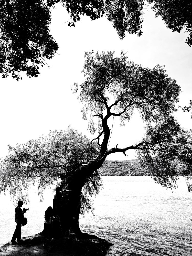 Photograph by Dragan Leles