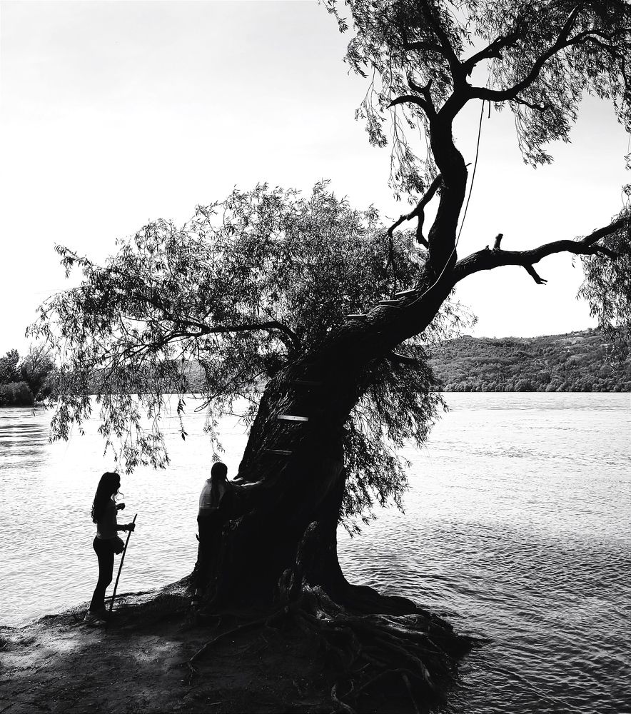 Photograph by Dragan Leles