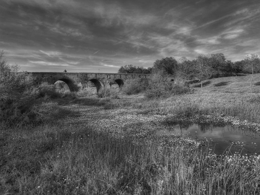 Photograph by Félix Sanchez