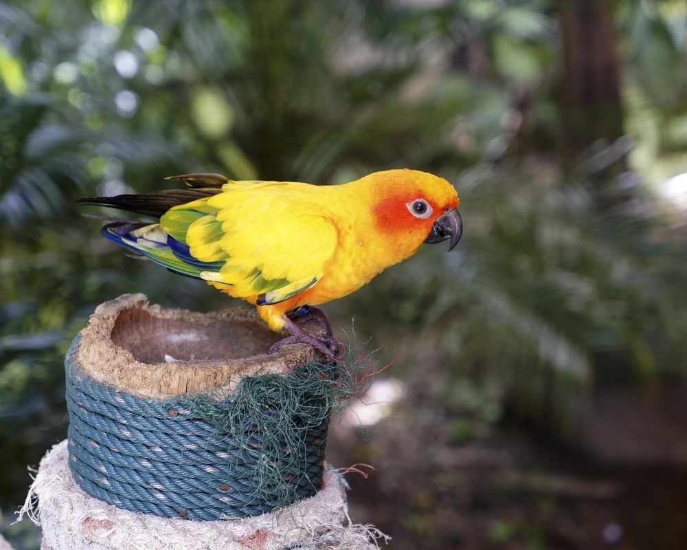 Фотография автора Татьяна Добровольская