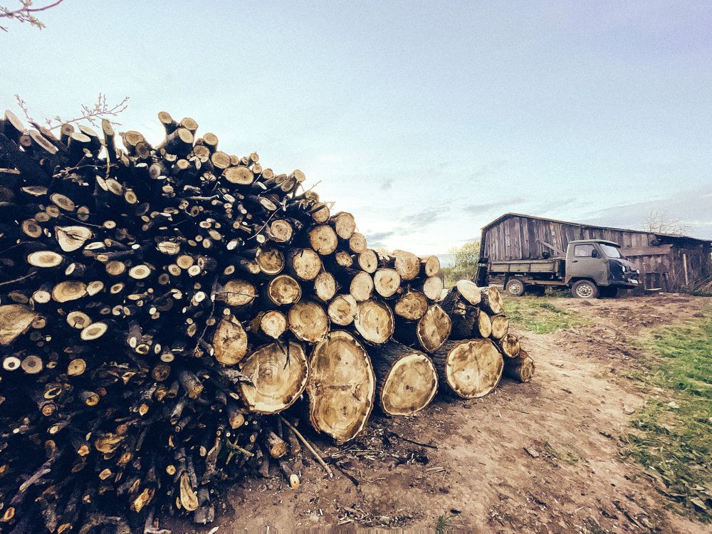 Photograph by Dmitry Malyarevich