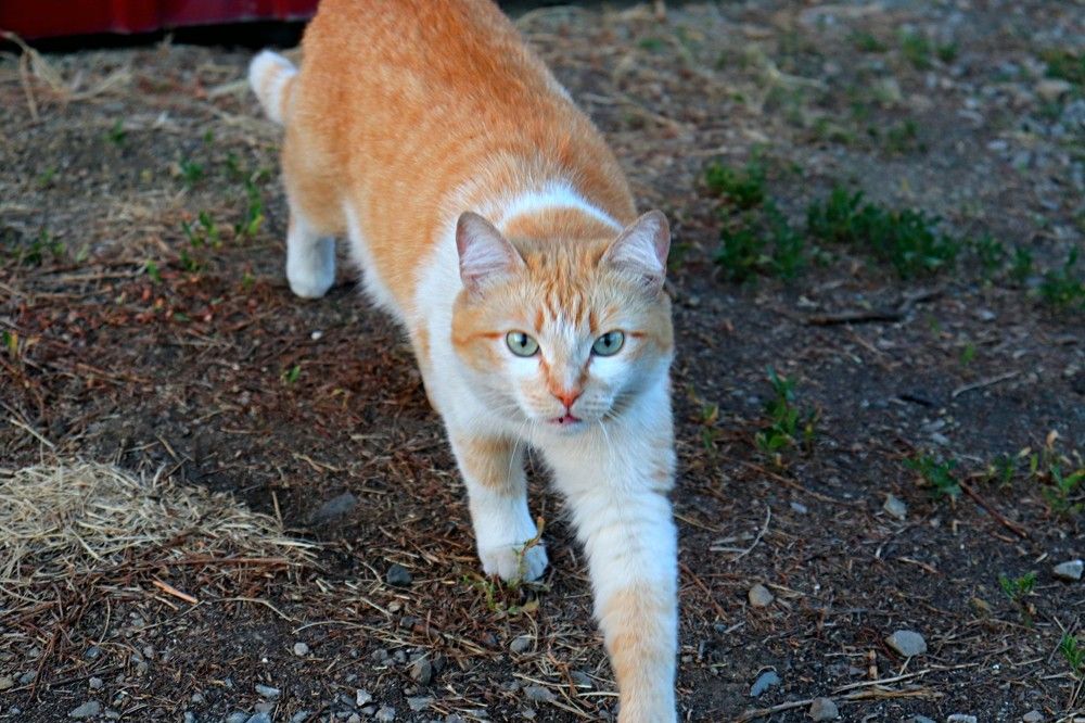 Photograph by Татьяна Котельникова