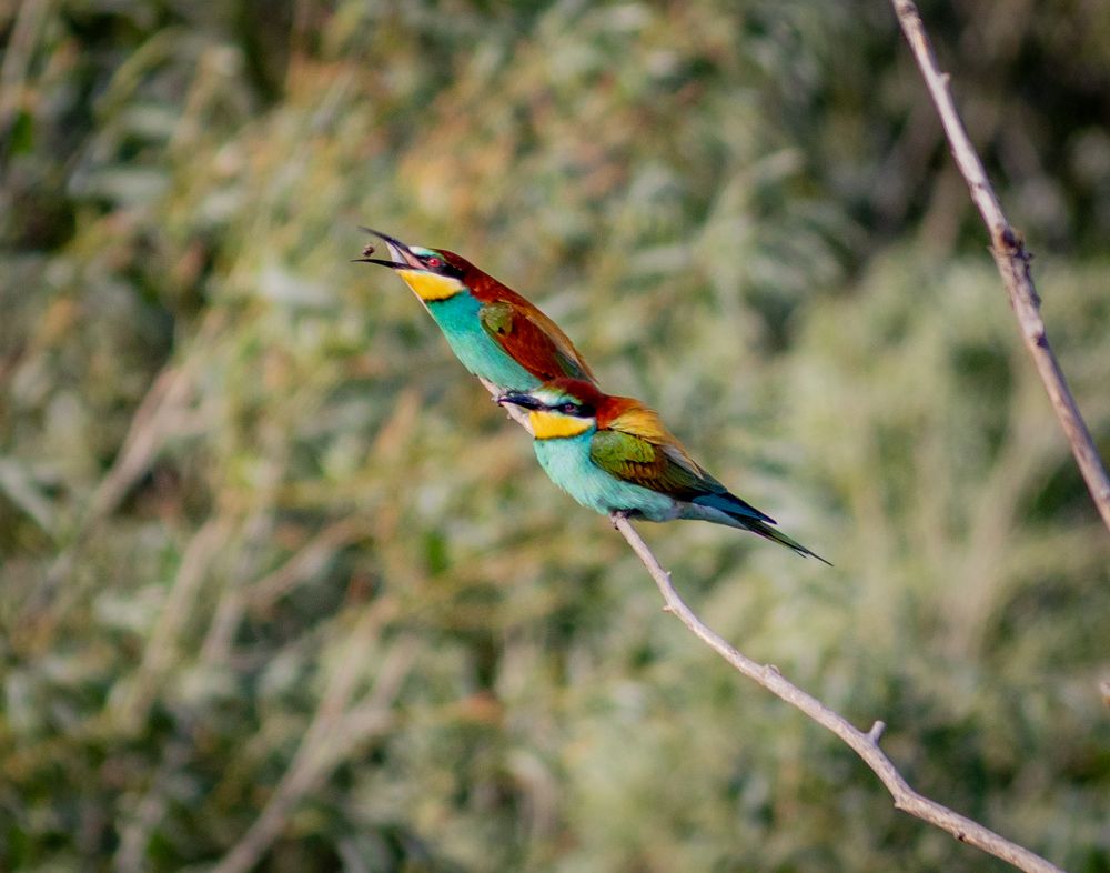 Photograph by Евгений Еськов