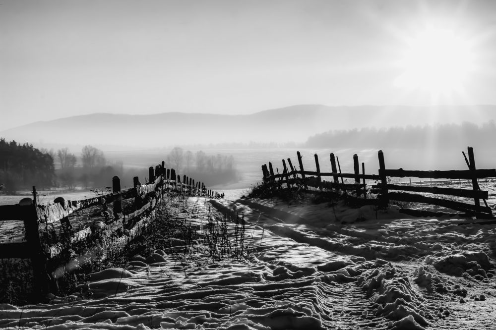 Photograph by Михаил Четвертков