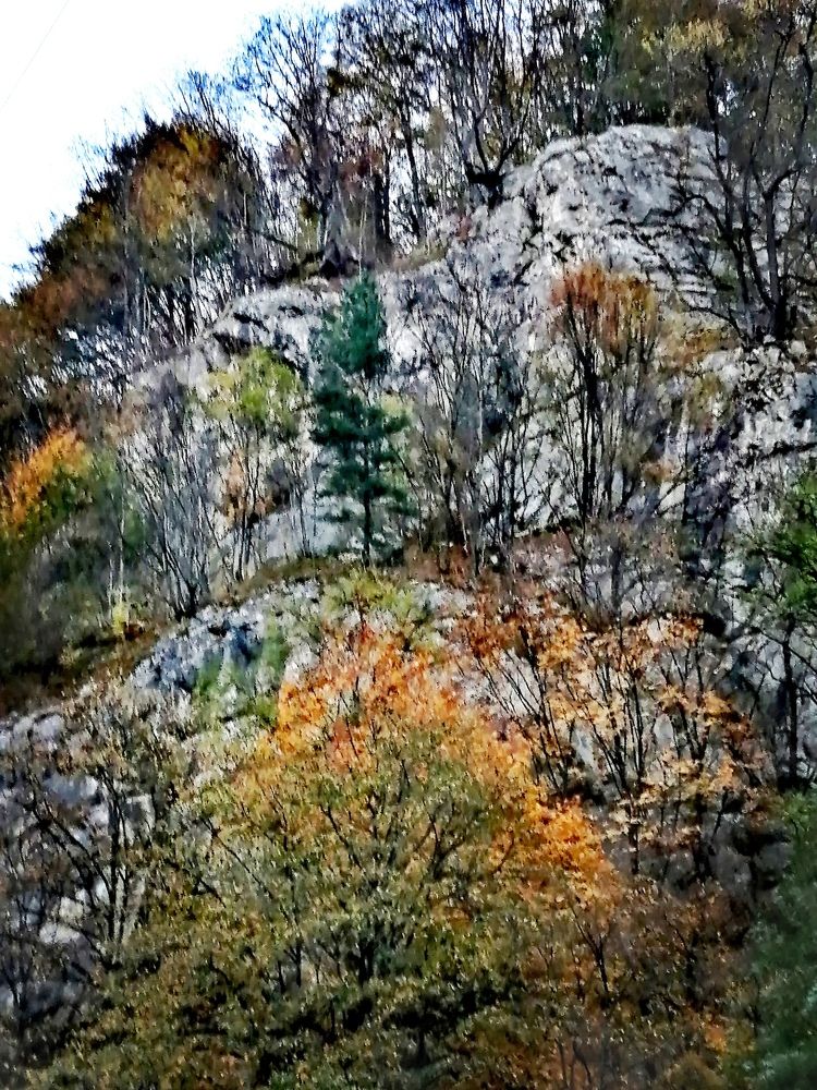 Photograph by Марина