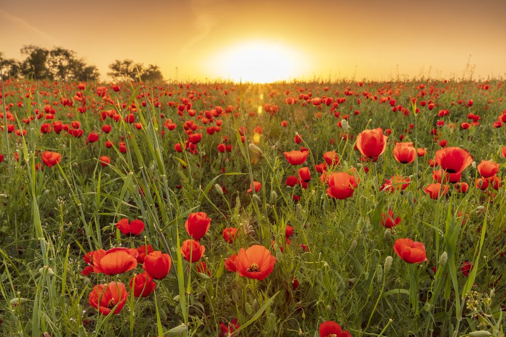 Photograph by Аскар Баймухамедов