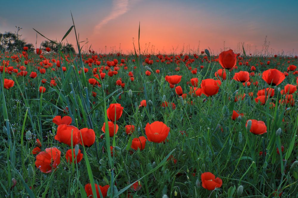 Photograph by Аскар Баймухамедов