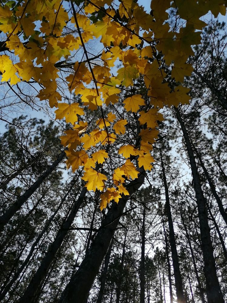 Photograph by Марина