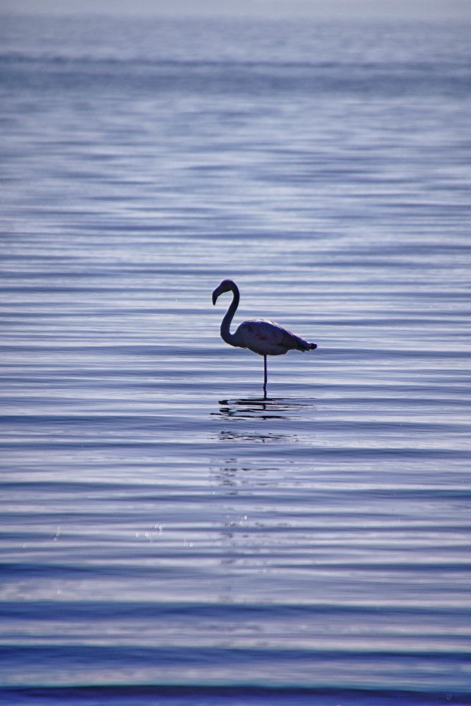 Photograph by Mário C.