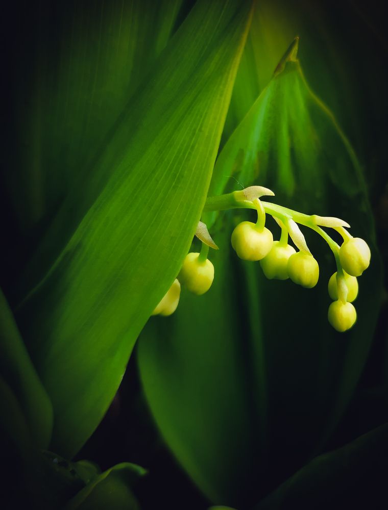 Photograph by Дмитрий Кожепенько