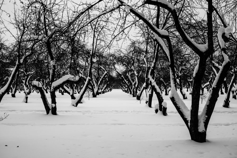 Фотография автора Кирилл Литовский