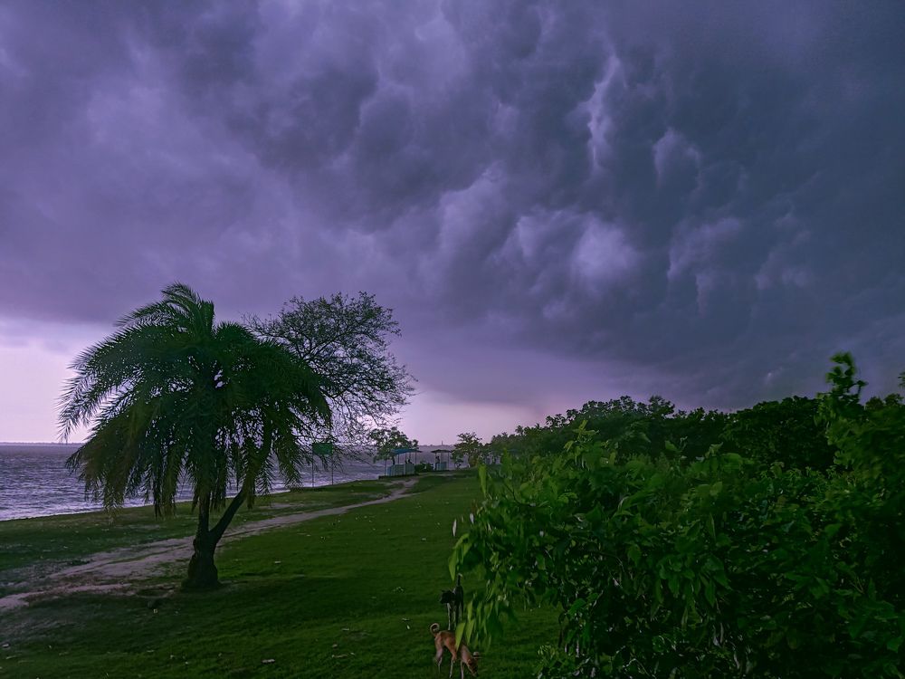 Photograph by Souvik Bhowmik