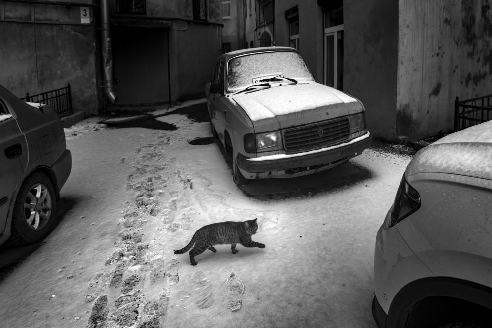 Photograph by Константин шумский